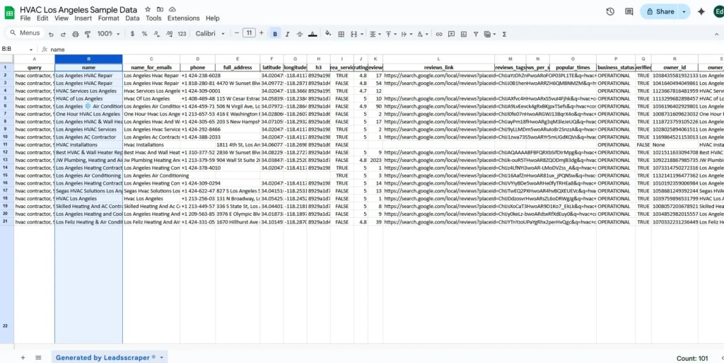LeadsScraper Data